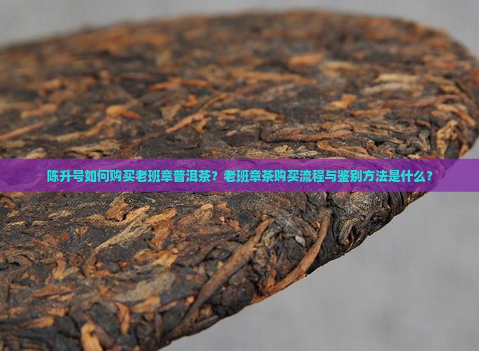 陈升号购买购老班章