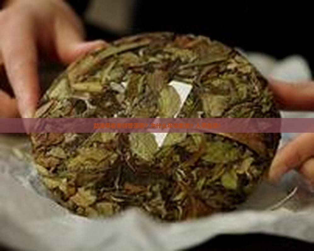 勐海早春青饼普洱茶