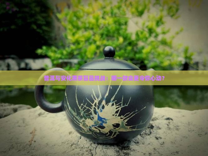 普洱茶和安化黑茶哪个好喝