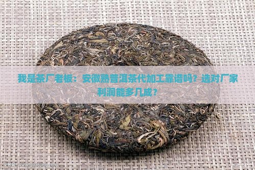 安徽熟普洱茶代加工