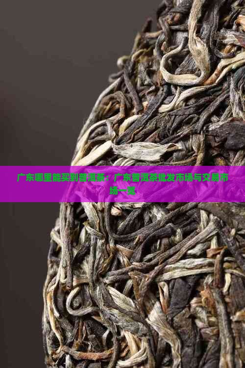 广东哪里能买到普洱茶
