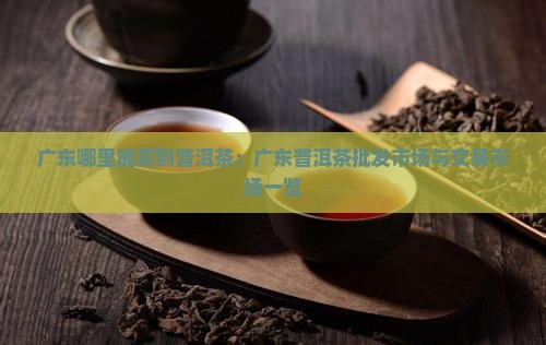 广东哪里能买到普洱茶