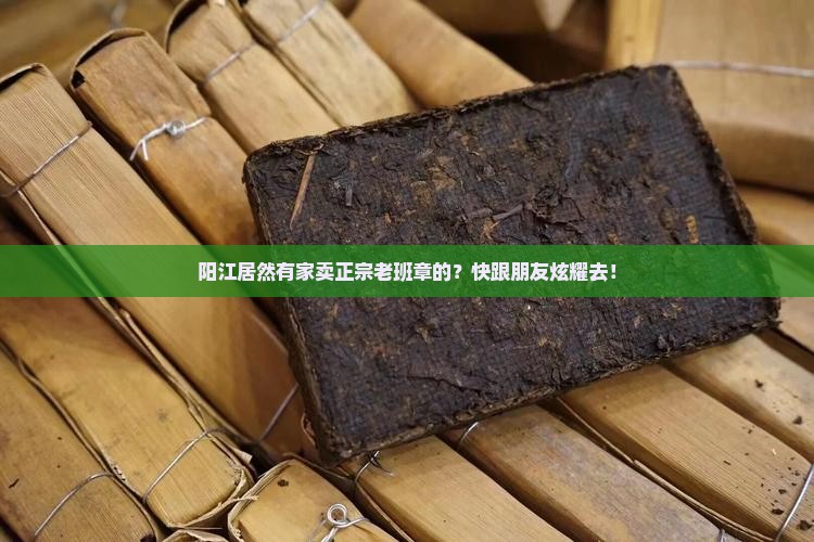 阳江正规的老班章