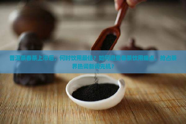 普洱茶春茶可以马上喝吗