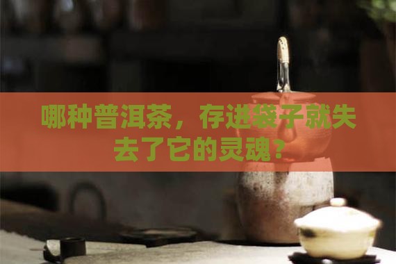 哪种普洱茶不能存茶袋子