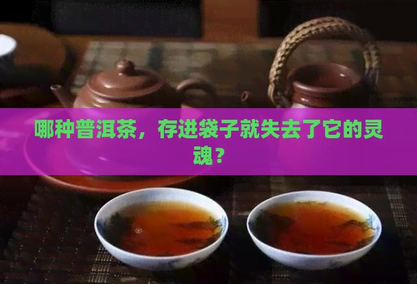 哪种普洱茶不能存茶袋子