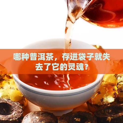 哪种普洱茶不能存茶袋子