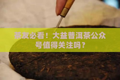 大益普洱茶公众号