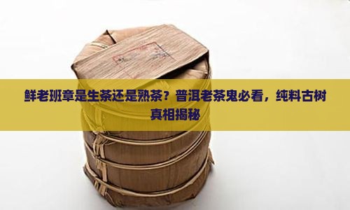 鲜老班章是生茶还是熟茶