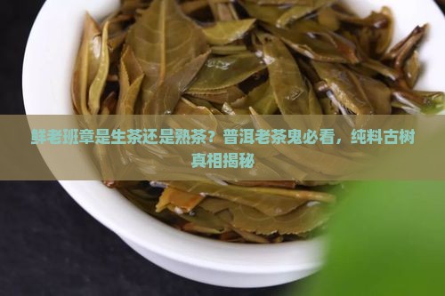 鲜老班章是生茶还是熟茶