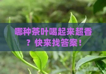 哪种茶叶口感香