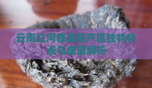 红河普洱茶产区特点及原因
