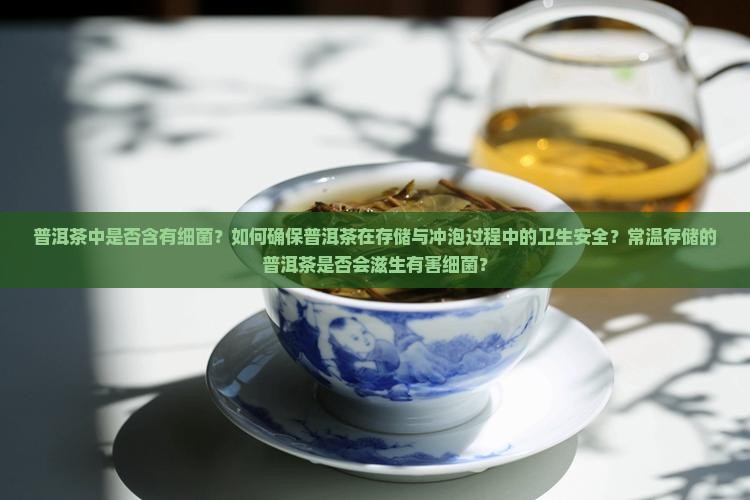 普洱茶里有细菌吗