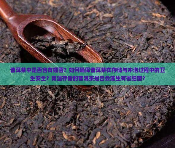 普洱茶里有细菌吗