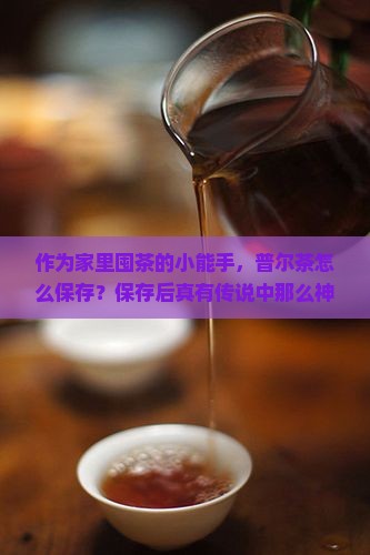 普尔茶如何保存普尔茶作用 普尔茶如何保存普尔茶作用