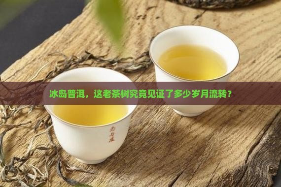 冰岛普洱茶多少年了