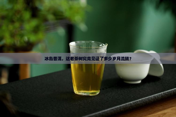 冰岛普洱茶多少年了
