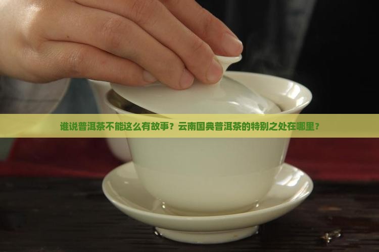云南国典普洱茶