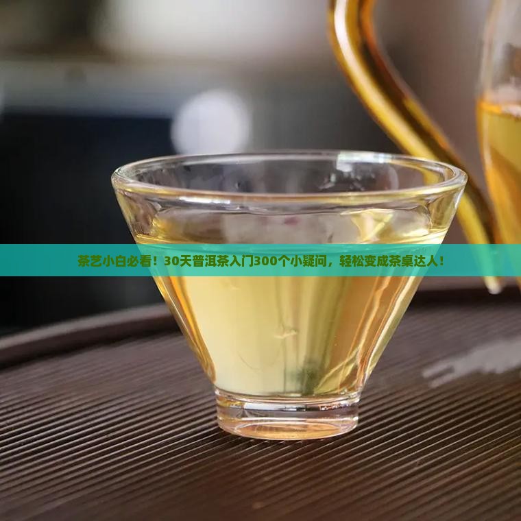 普洱茶知识300讲