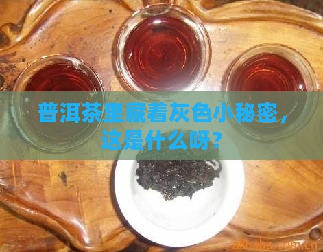 普洱茶打开后有灰色的东西