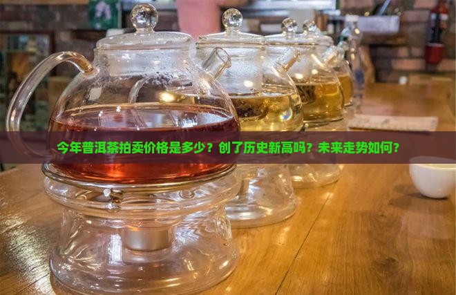 今年普洱茶拍卖价格