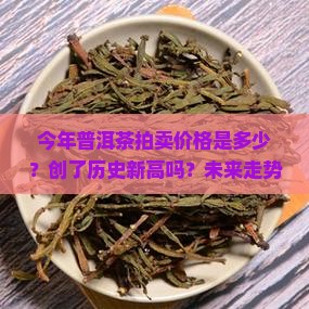 今年普洱茶拍卖价格