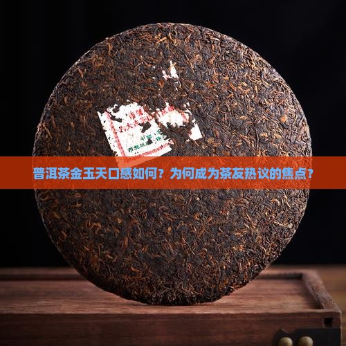 普洱茶金玉天好喝吗