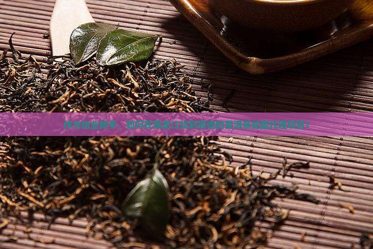 黑龙江普洱茶加盟代理推荐