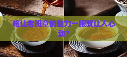 老班章的哪个特点好看