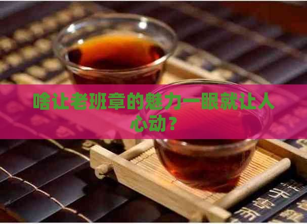 老班章的哪个特点好看