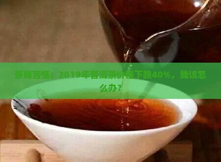 2019普洱茶下跌