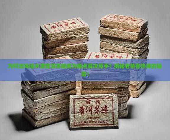 沧海佳木源普洱茶