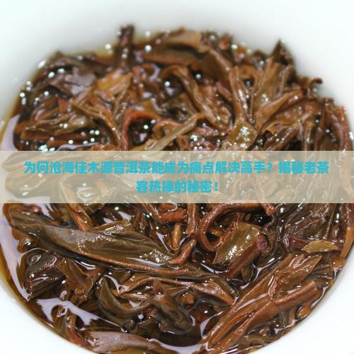 沧海佳木源普洱茶