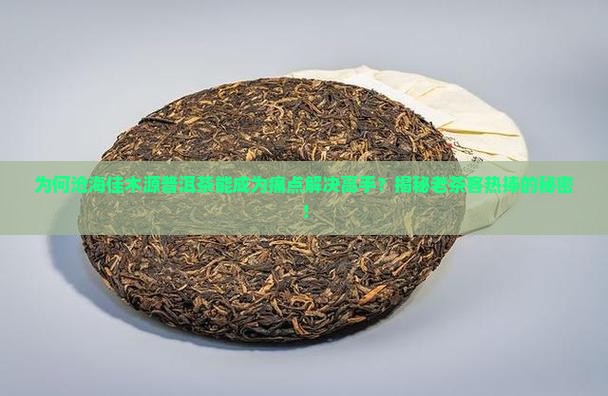 沧海佳木源普洱茶