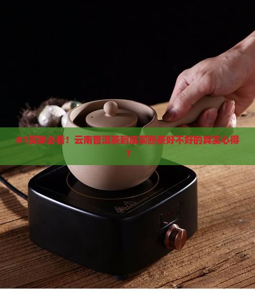 云南普洱茶推荐熟茶吗