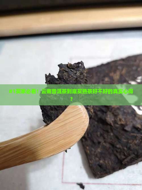 云南普洱茶推荐熟茶吗