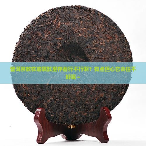 普洱茶放玻璃缸存放好吗
