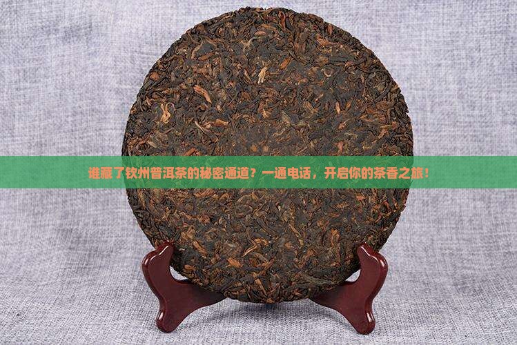 钦州普洱茶渠道招商部电话