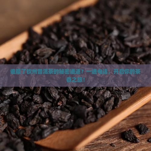 钦州普洱茶渠道招商部电话