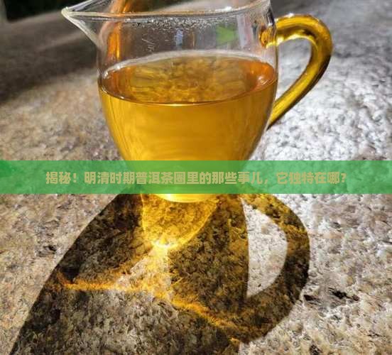 明清时期普洱茶的特点有哪些