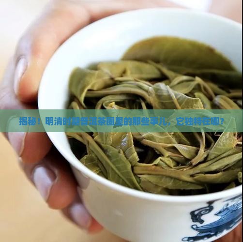 明清时期普洱茶的特点有哪些