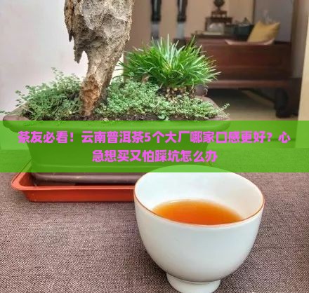 云南普洱茶哪个厂的比较好