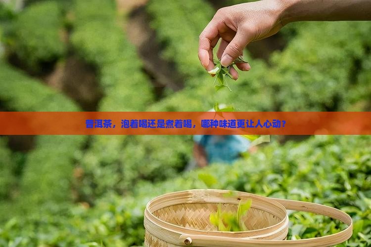 普洱茶泡和煮有区别吗