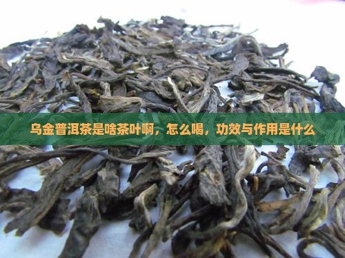 乌金普洱茶是啥茶叶啊