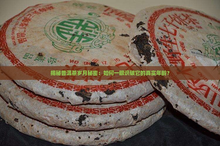 普洱茶的年份怎么辨别
