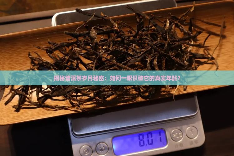 普洱茶的年份怎么辨别
