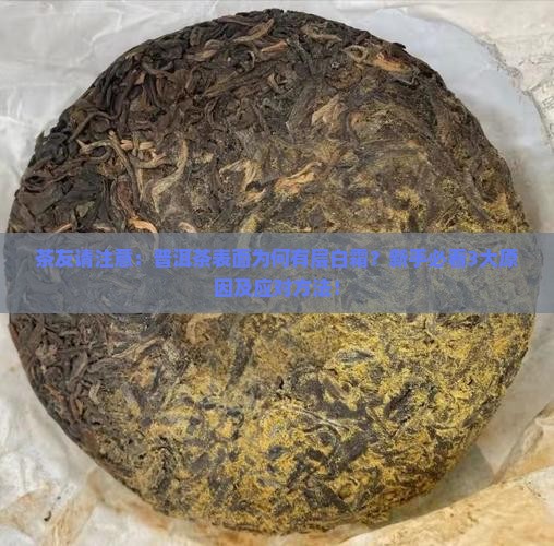 普洱茶表面有一层白色的