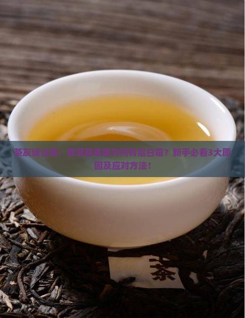 普洱茶表面有一层白色的