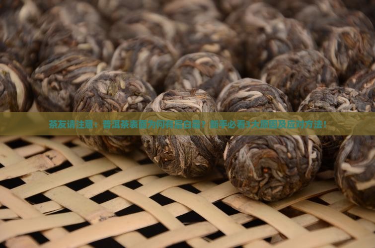 普洱茶表面有一层白色的