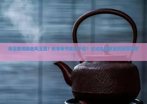海玉普洱茶金风玉露